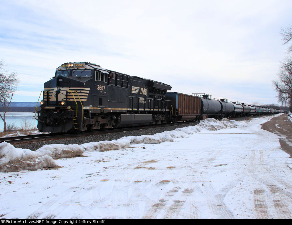 NS 3667